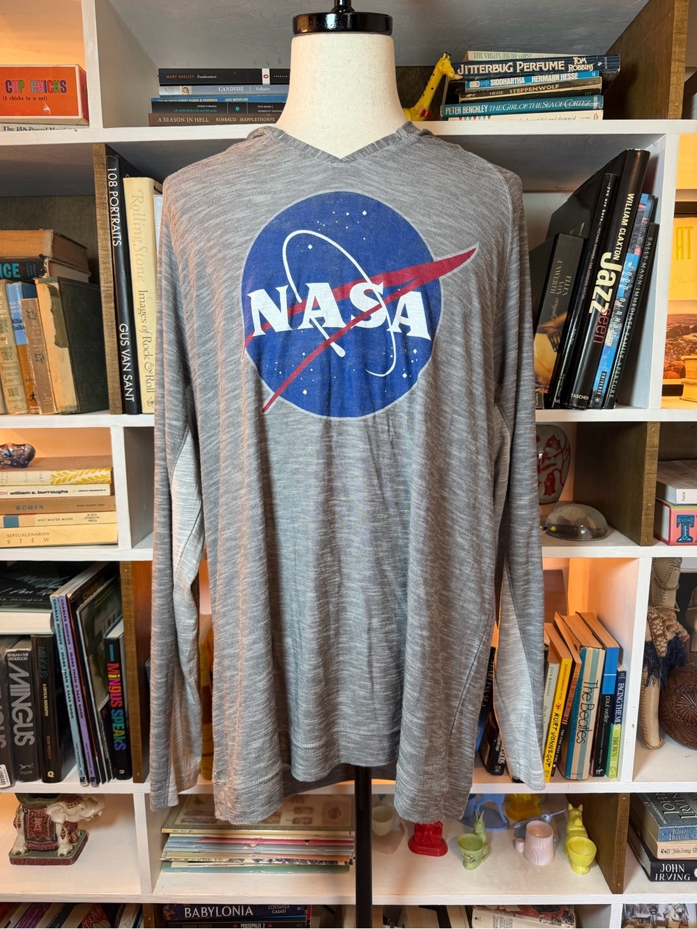 NASA Logo Long-Sleeve Tee in Gray with Blue and Red Emblem